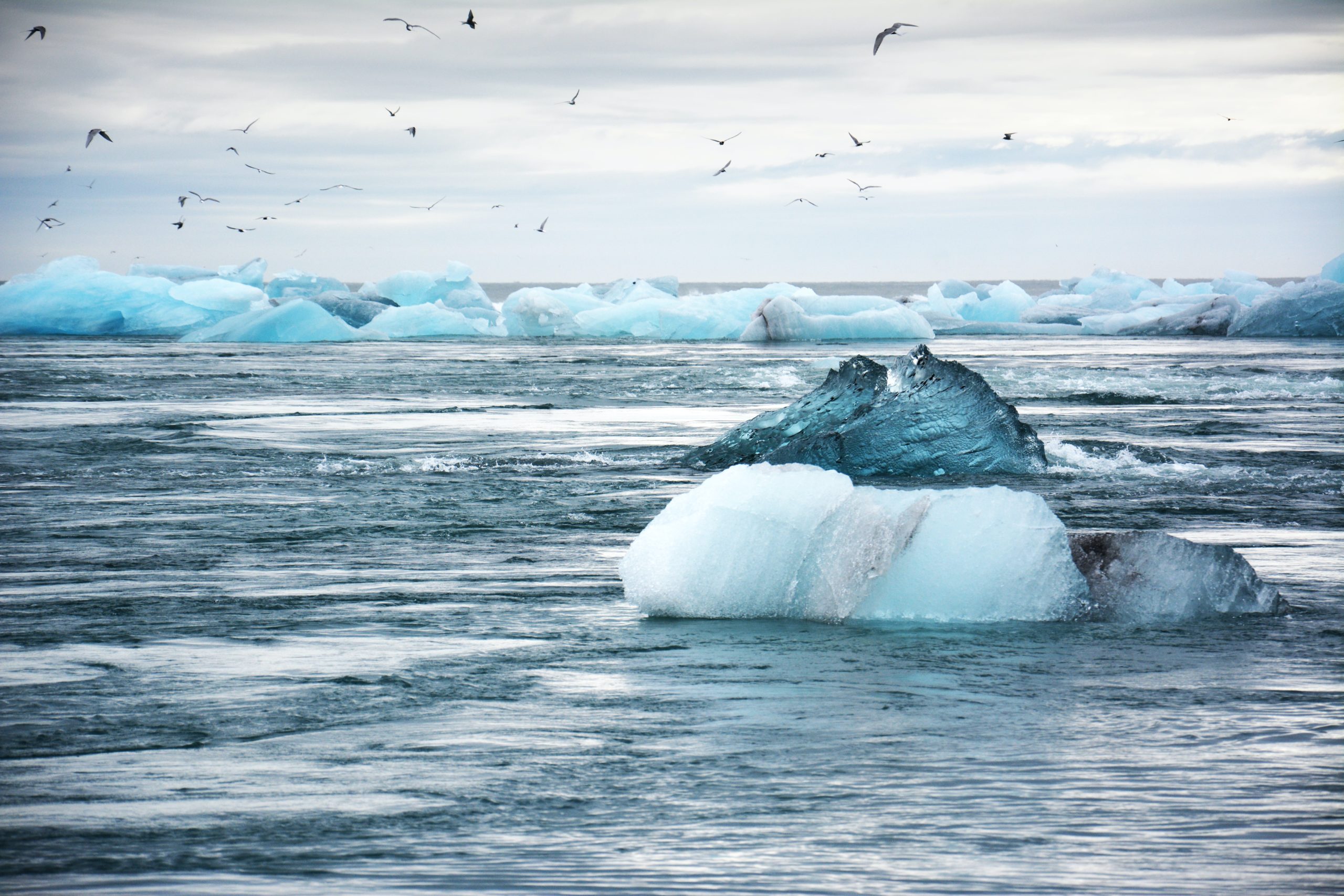 Foto: @lwalz / Unsplash